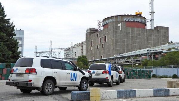 МАГАТЭ сообщило, что заручилось согласием России и Украины на введение локального режима прекращения огня в районе Запорожской АЭС для проведения ремонтных работ