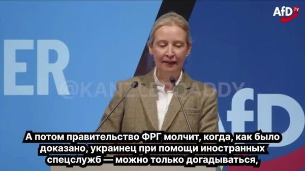 Как правительство может настолько не уважать себя, чтобы даже не удосужиться провести расследование [подрыва «Северного потока»? <…> Как можно настолько забывать историю, чтобы позволить немецким танкам идти против России?