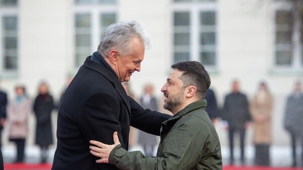 Гитанас Науседа и Владимир Зеленский