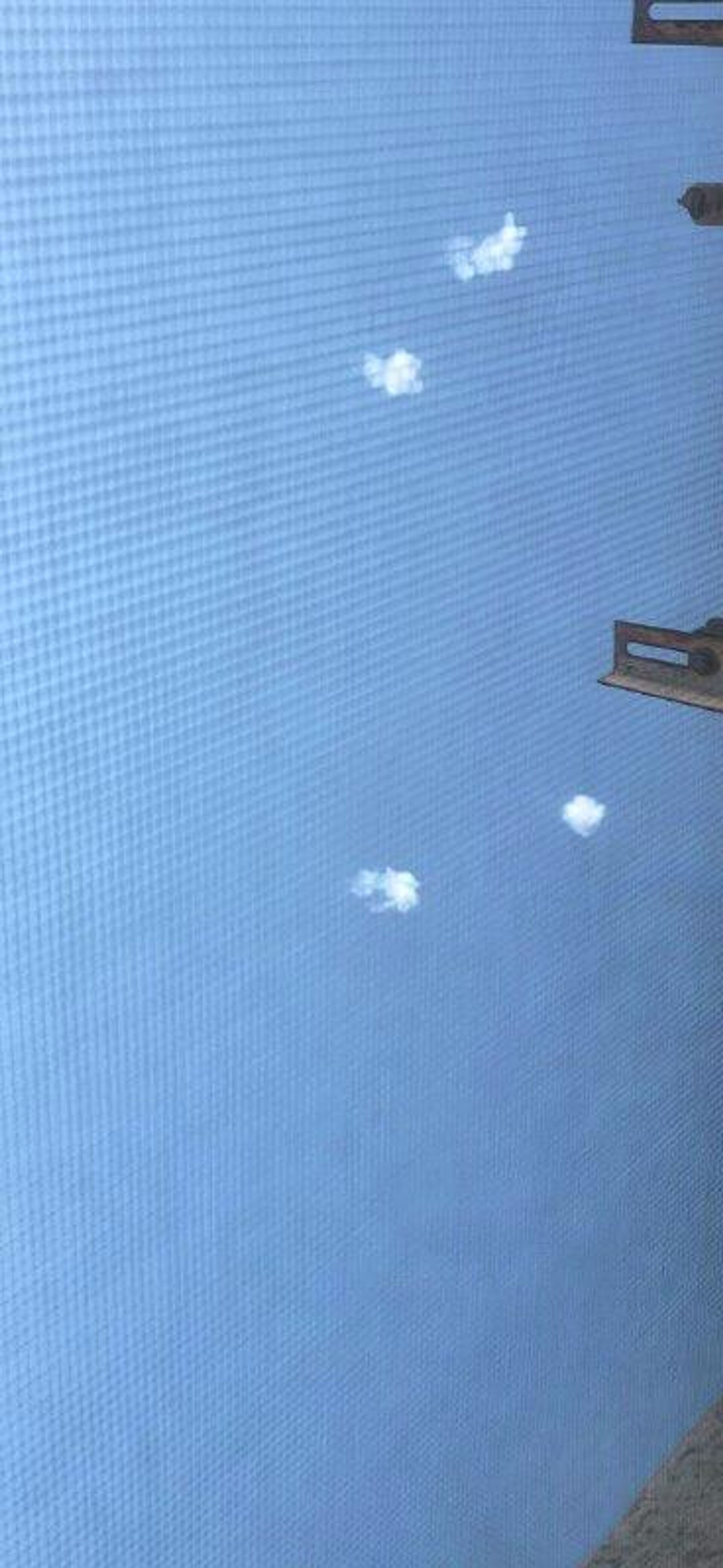 ‼ В Белгороде отбой - РИА Новости, 1920, 26.01.2026