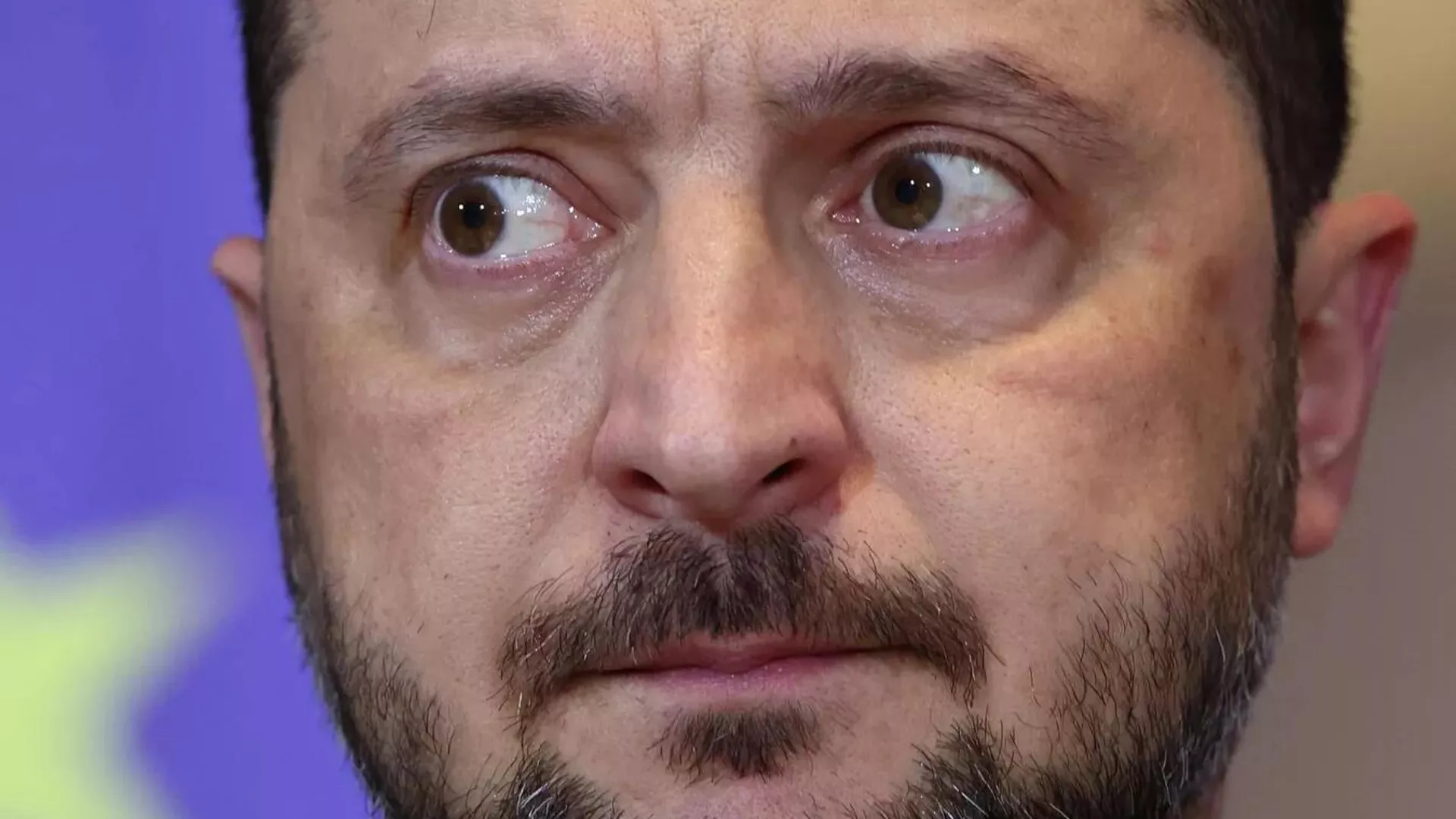 Владимир Зеленский - РИА Новости, 1920, 02.02.2026