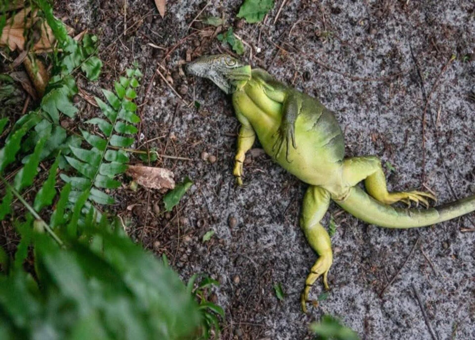   - РИА Новости, 1920, 06.02.2026