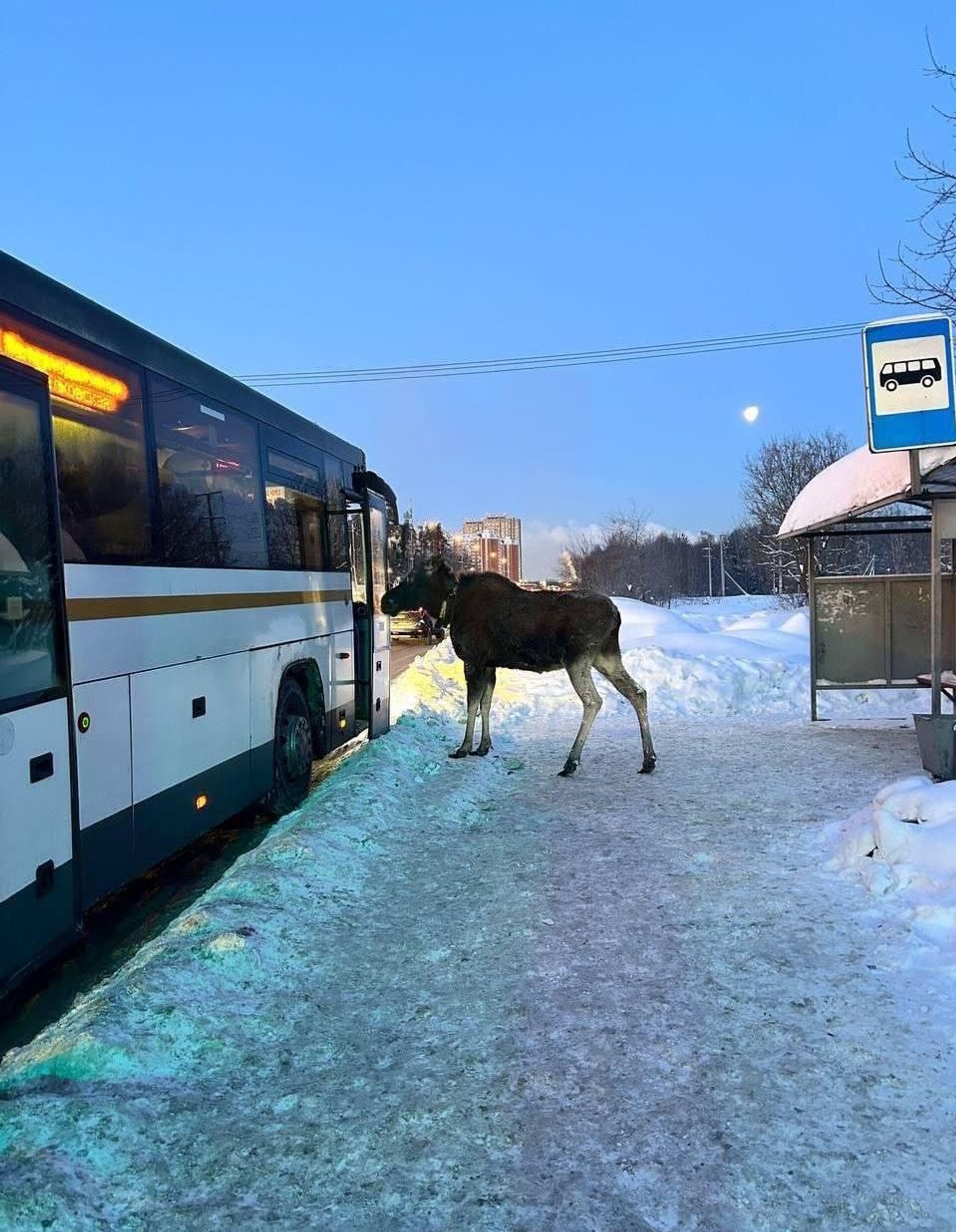   - РИА Новости, 1920, 06.02.2026