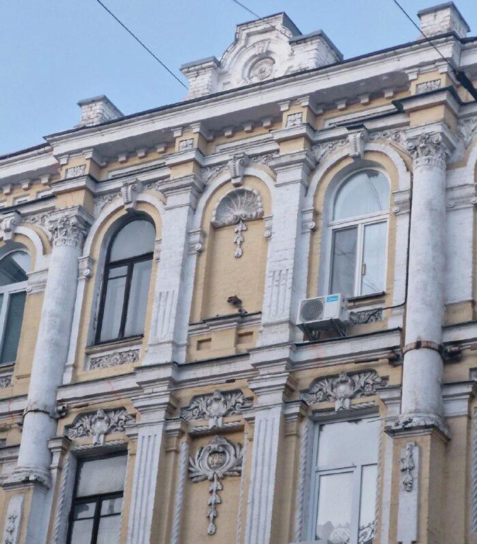 Из жизни дикарей: в Киеве сбили бюст Пушкина с уже изгаженного исторического здания - РИА Новости, 1920, 10.02.2026