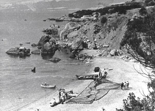 Берег и часть акватории севастопольского океанариума