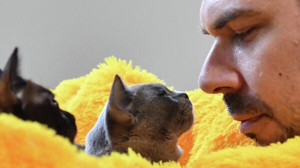 Выставка КоШарики Шоу в Москве