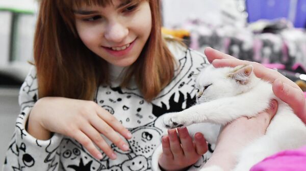 Выставка КоШарики Шоу в Москве