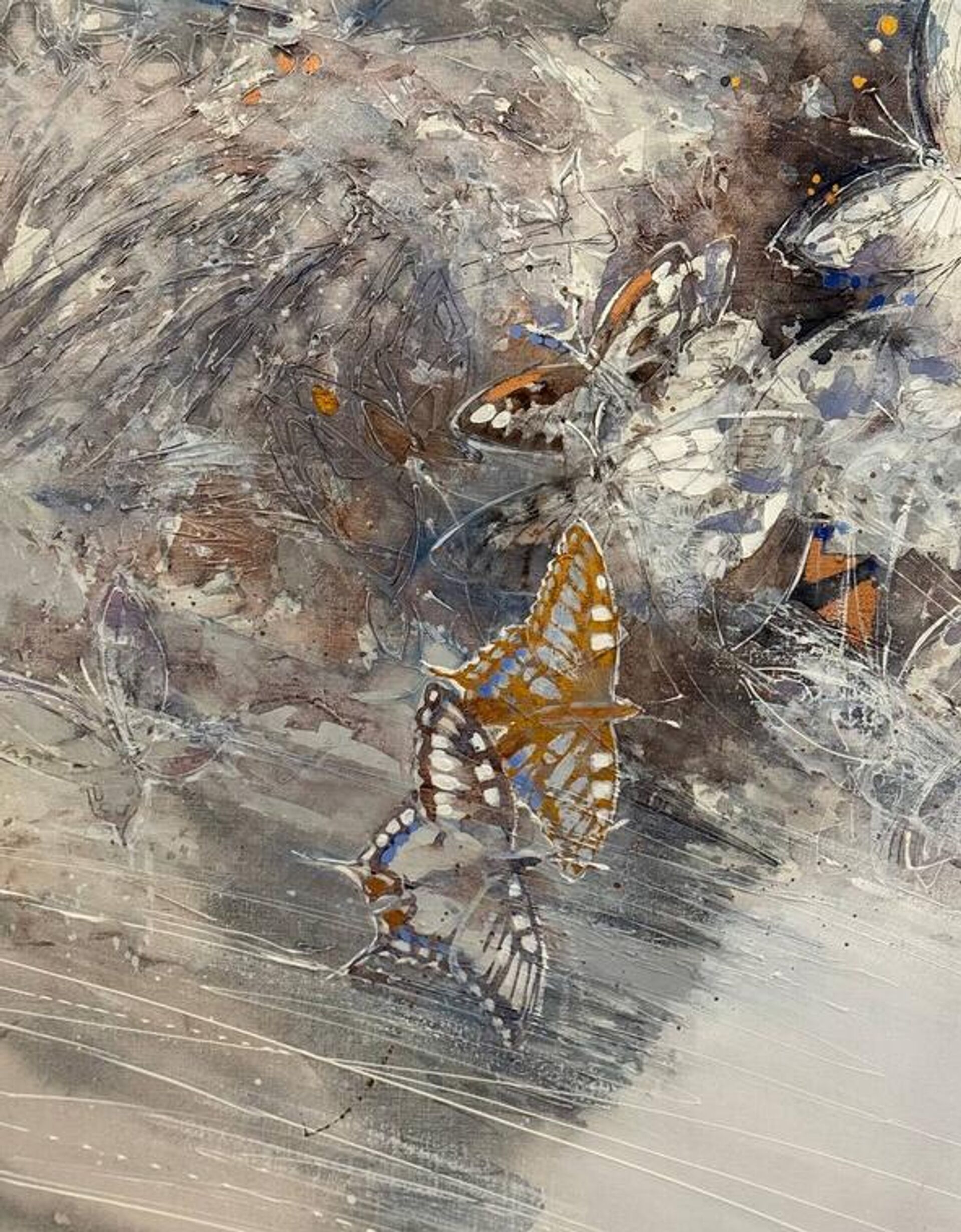   - РИА Новости, 1920, 13.02.2026