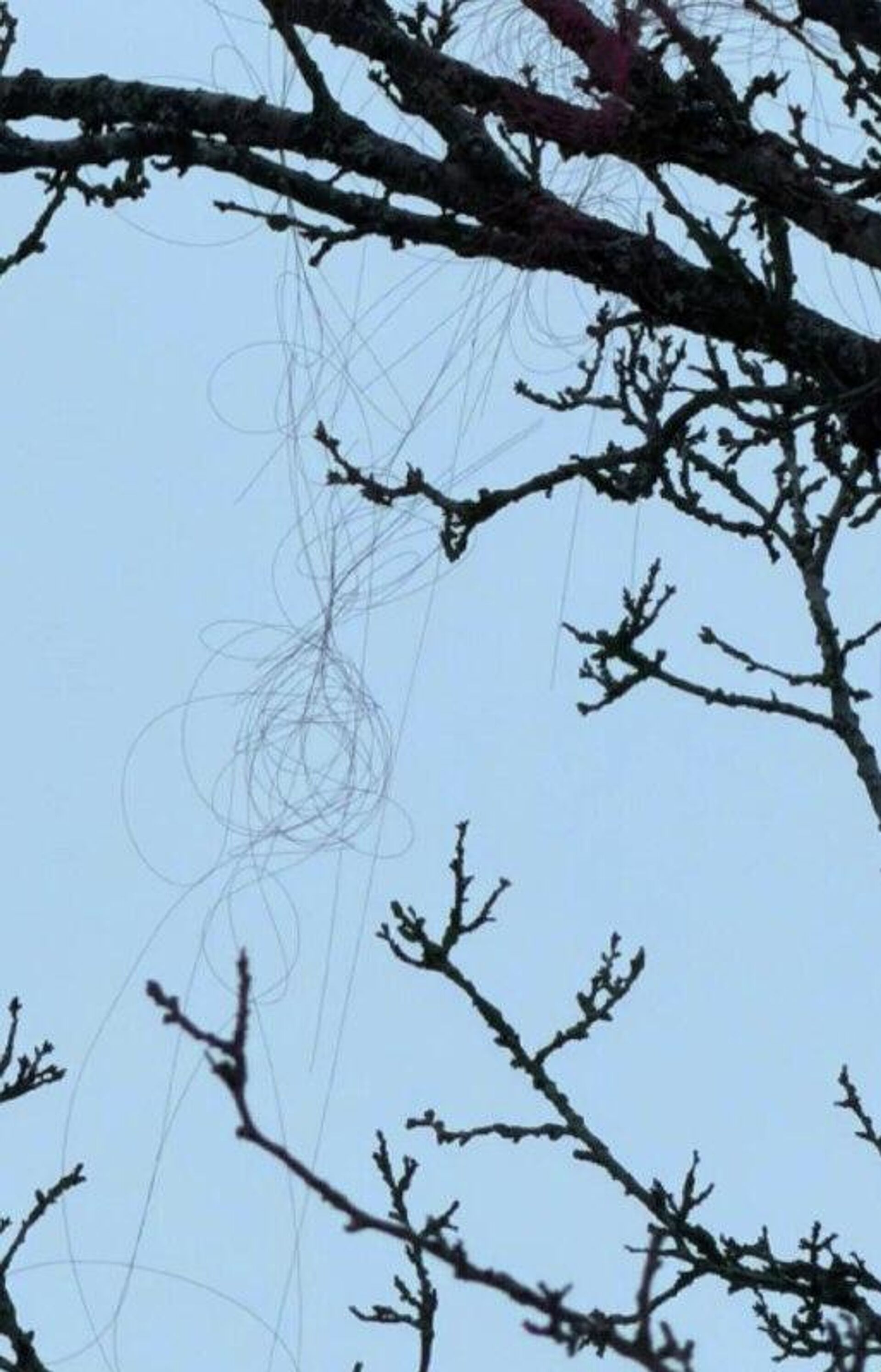 Сегодня впервые российский FPV дрон на оптоволокне долетел до Харькова - РИА Новости, 1920, 25.02.2026