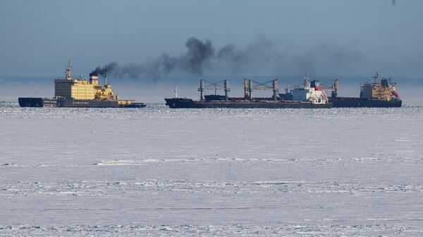 Финский залив полностью замерз впервые за 15 лет