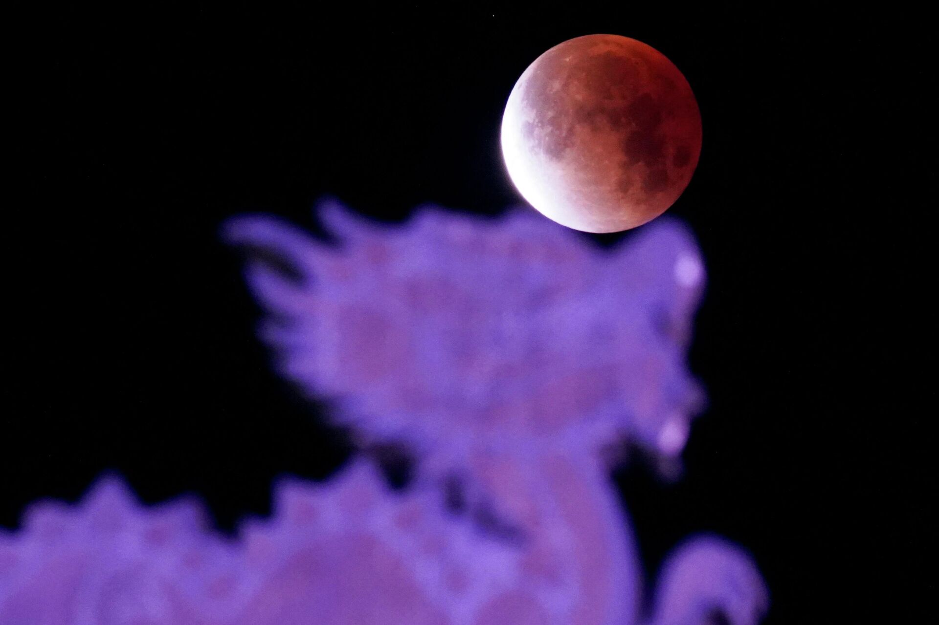   - РИА Новости, 1920, 06.03.2026