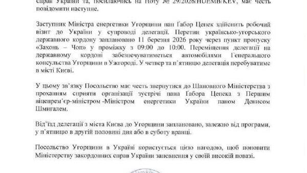 Министр иностранных дел Венгрии Сийярто обвинил Зеленского во лжи из-за визита венгерской делегации