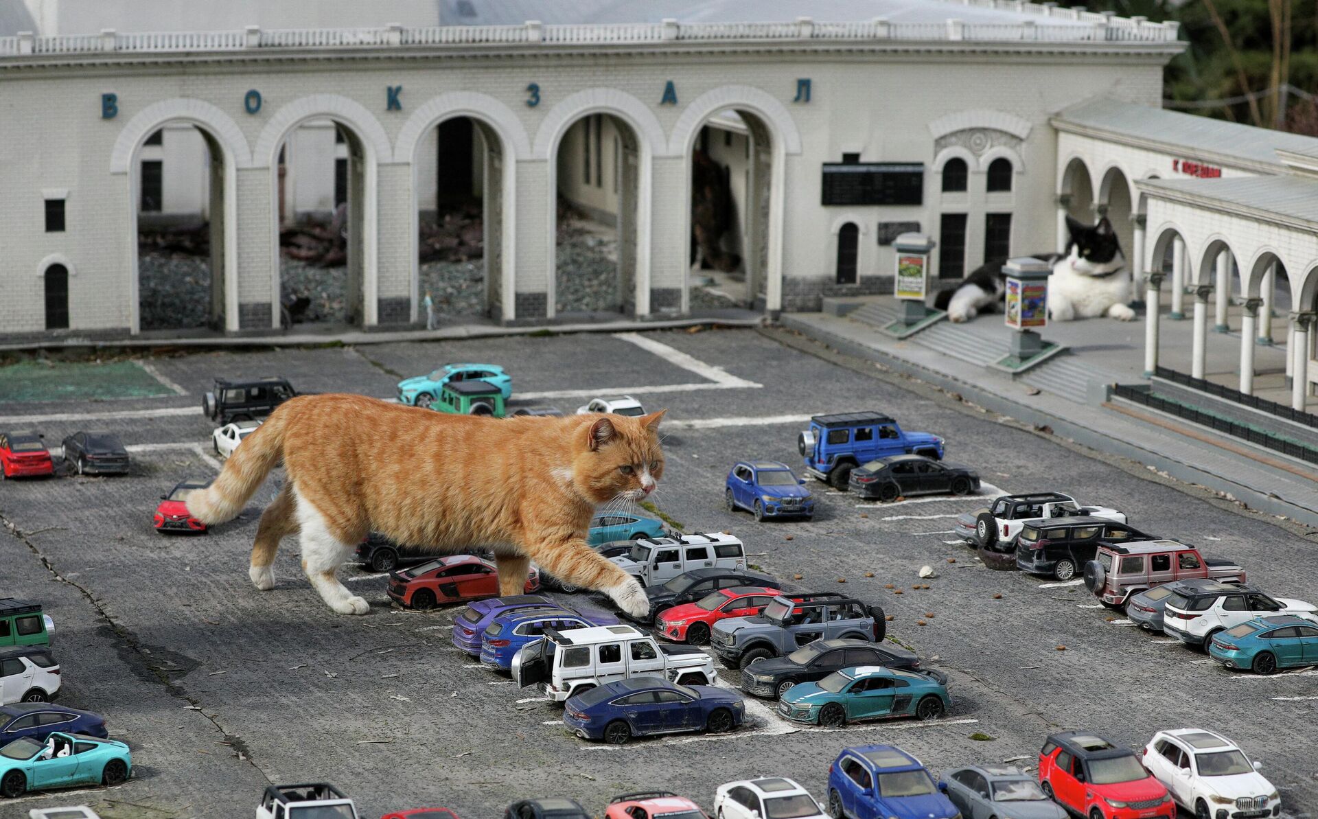 - РИА Новости, 1920, 13.03.2026