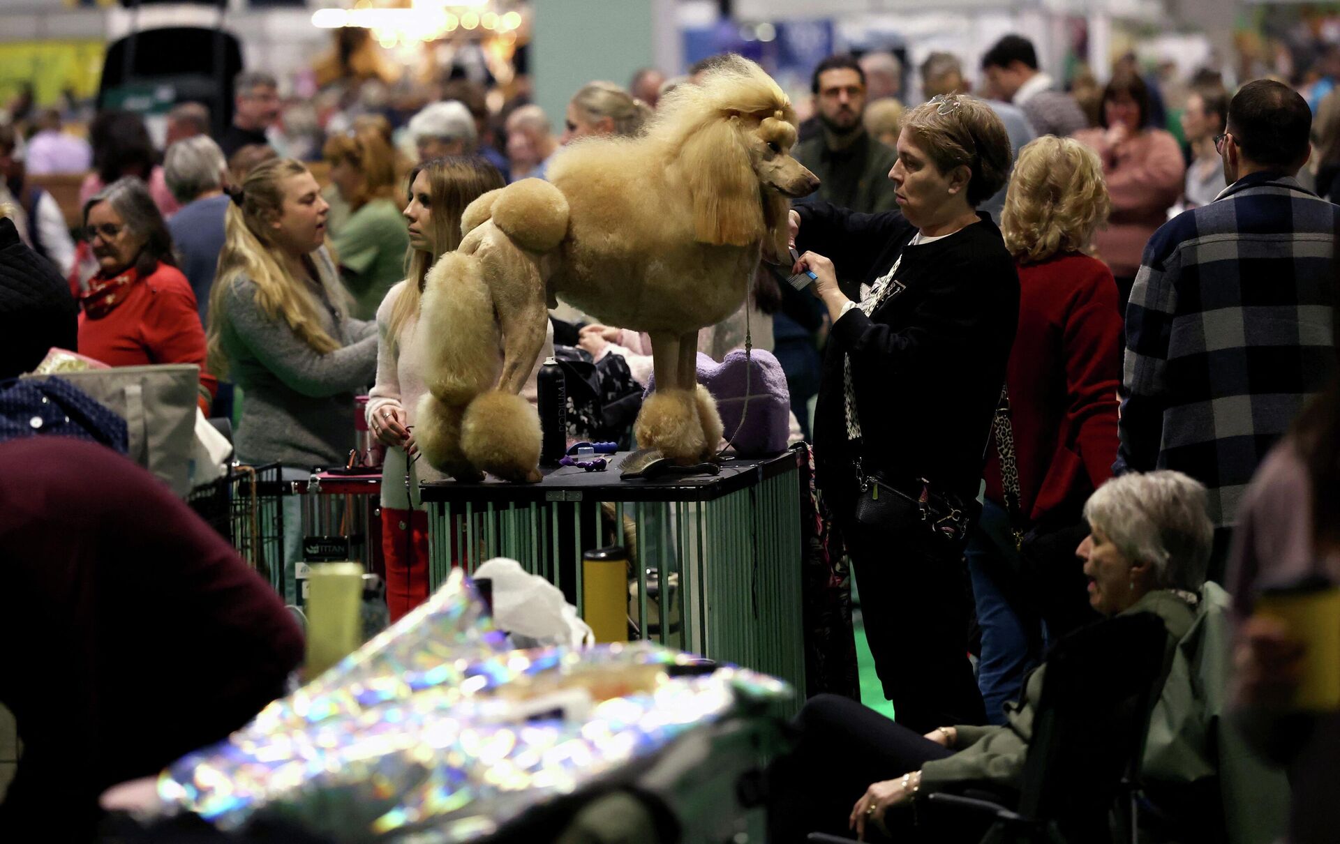 - РИА Новости, 1920, 13.03.2026