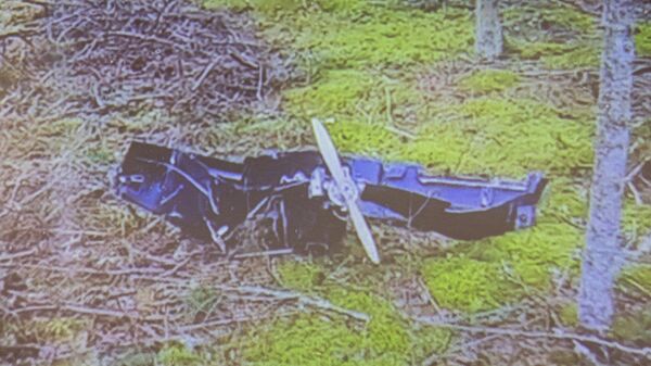 Птицы виноваты. Как Финляндия оправдывается за инцидент с украинскими беспилотниками