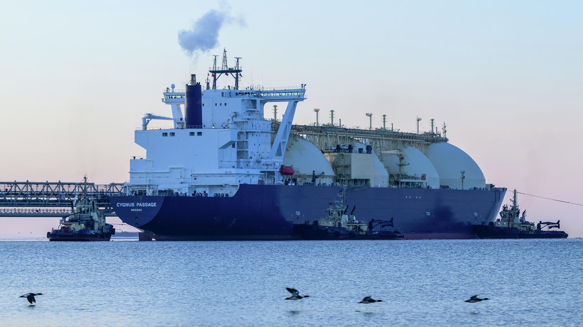 Танкер-газовоз Cygnus Passage в Корсаковском районе Сахалина Танкер-газовоз Cygnus Passage в Корсаковском районе Сахалина - РИА Новости, 1920, 10.04.2026