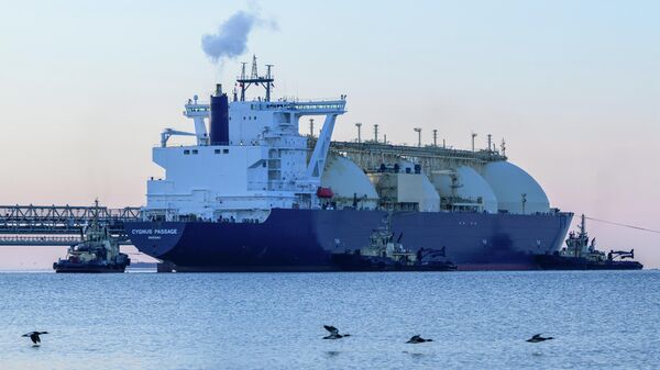 Танкер-газовоз Cygnus Passage в Корсаковском районе Сахалина