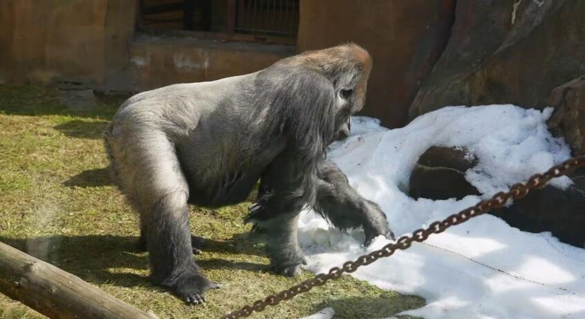 - РИА Новости, 1920, 03.04.2026