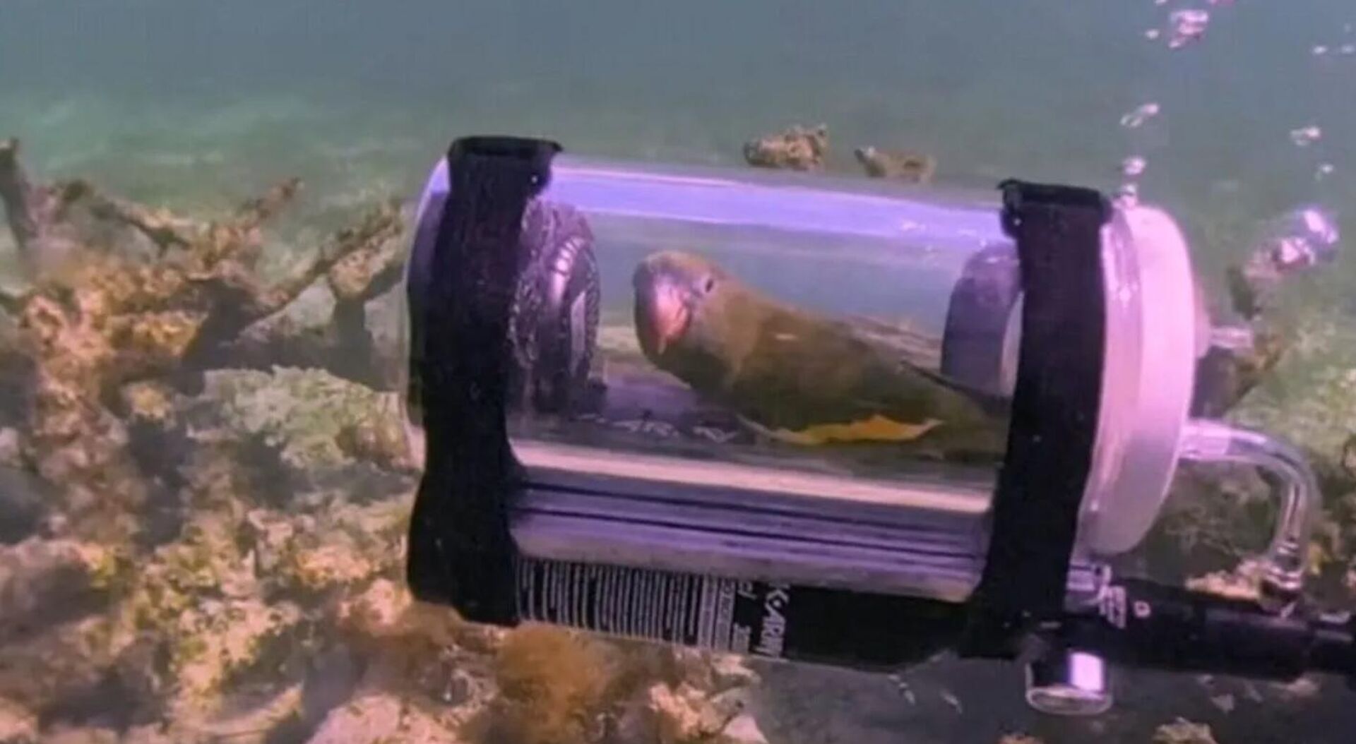   - РИА Новости, 1920, 10.04.2026