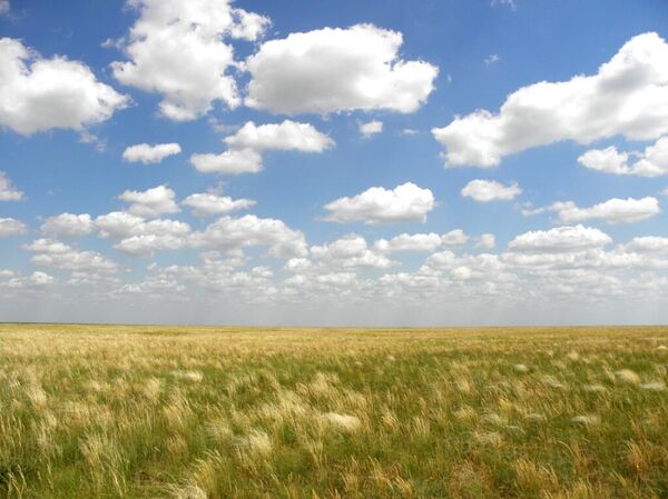 Заповедная степь Аскания-Нова