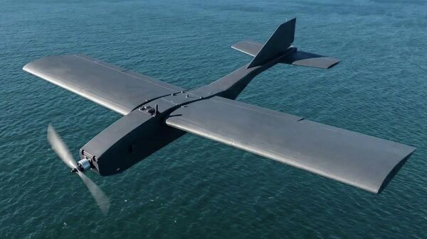 БПЛА, Япония