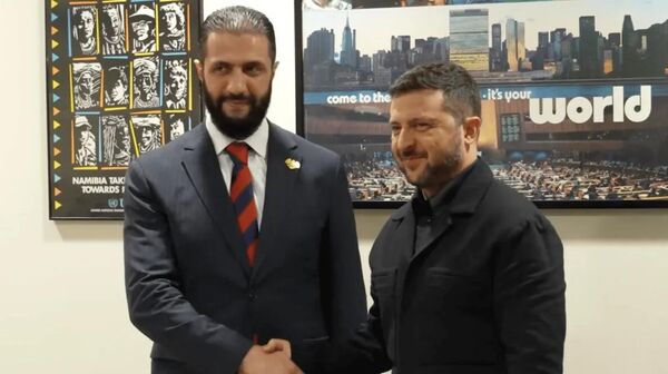 Зеленский и Ахмед аль-Шараа