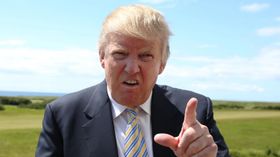 Трамп Трамп