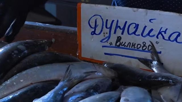Почему селедку в Одессе преподносят в виде подарка