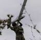 Украинские военнослужащие запускают БПЛА