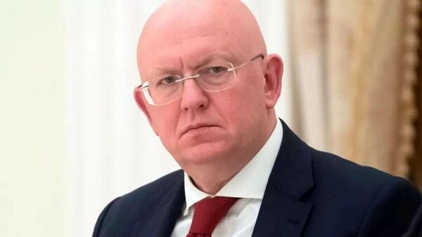 ‼ Главное из заявлений Небензи на заседании СБ ООН
