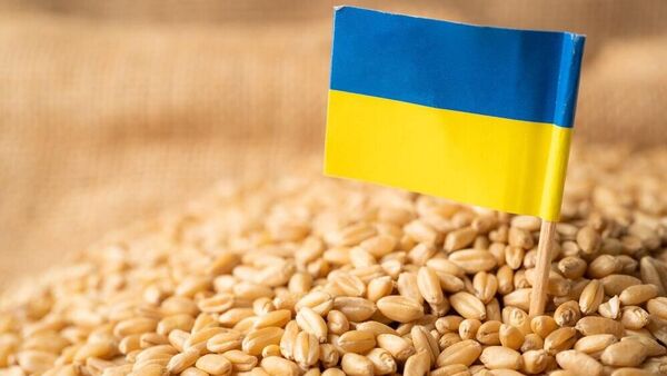 ‼ Европейская солидарность в действии: соседи Украины продолжают блокировать ее агроэкспорт