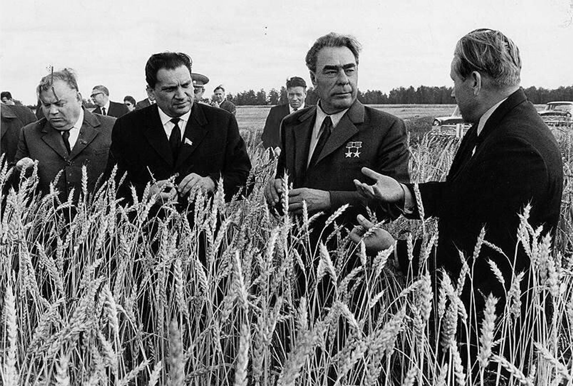 Леонид Брежнев. Алтайский край, август 1972 года Леонид Брежнев. Алтайский край, август 1972 года - РИА Новости, 1920, 28.05.2026