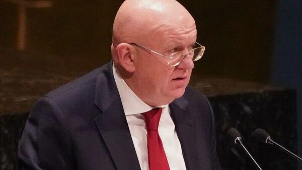 Россия считает не случайным, что инцидент с дроном в Румынии произошел на следующий день после обращения Зеленского к Трампу по ракетам ПВО, заявил постпред РФ в ООН Василий Небензя
