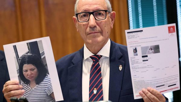 У главной подозреваемой в покушении на украинского олигарха Вадима Ермолаева прошли обыски