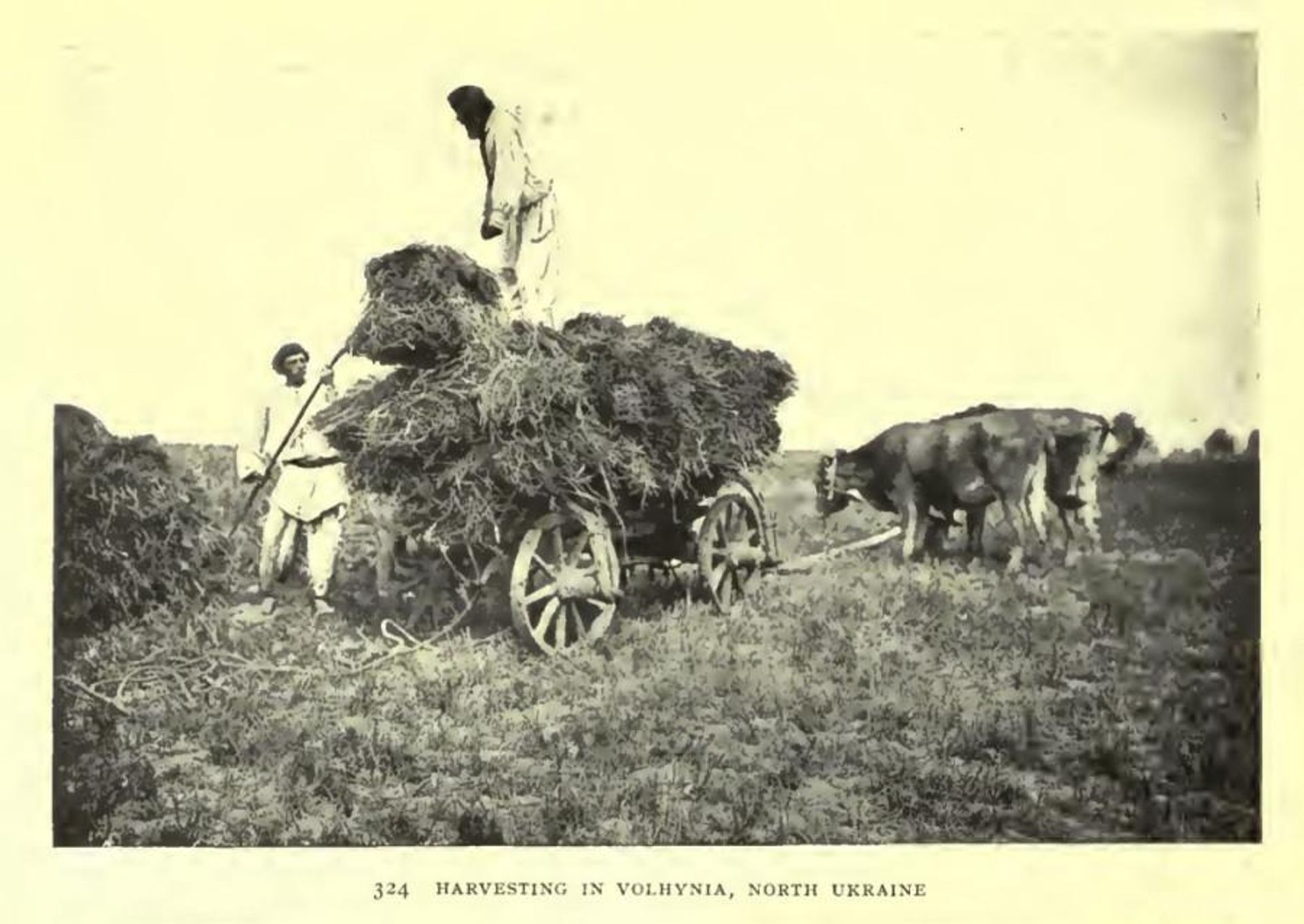 Волынские крестьяне, 1910 год Волынские крестьяне, 1910 год - РИА Новости, 1920, 05.07.2026