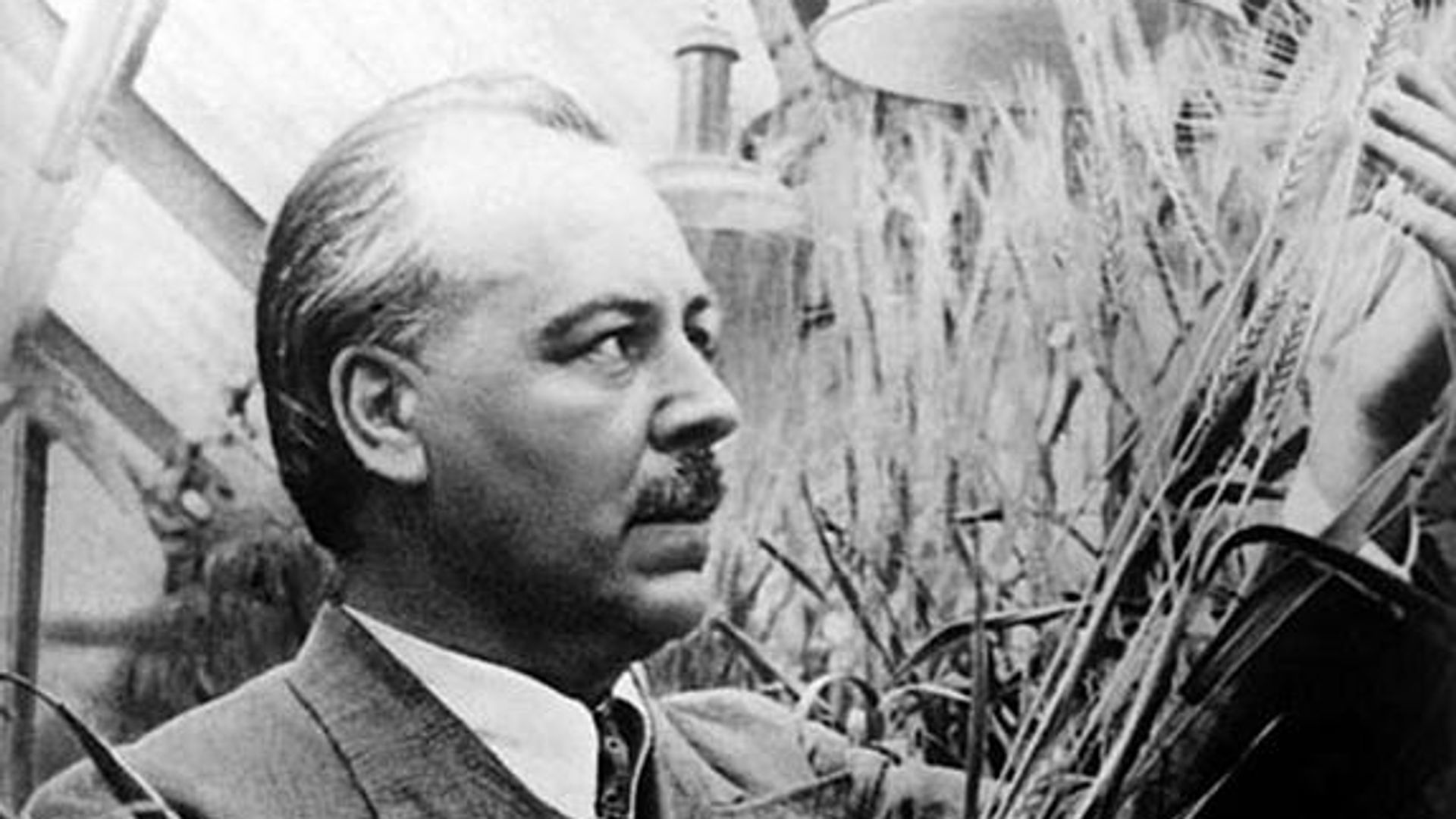Николай Вавилов, 1939 год Николай Вавилов, 1939 год - РИА Новости, 1920, 07.08.2026