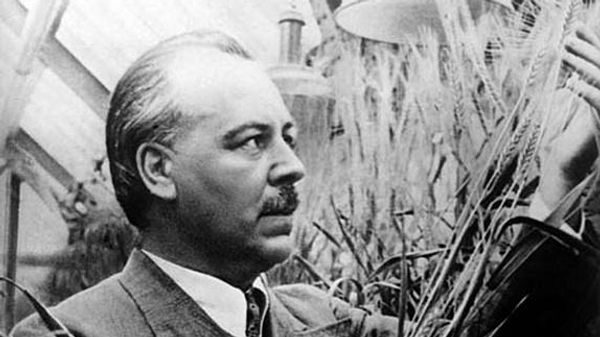 Дело Вавилова. Как украинский агроном погубил "Менделеева русской генетики"