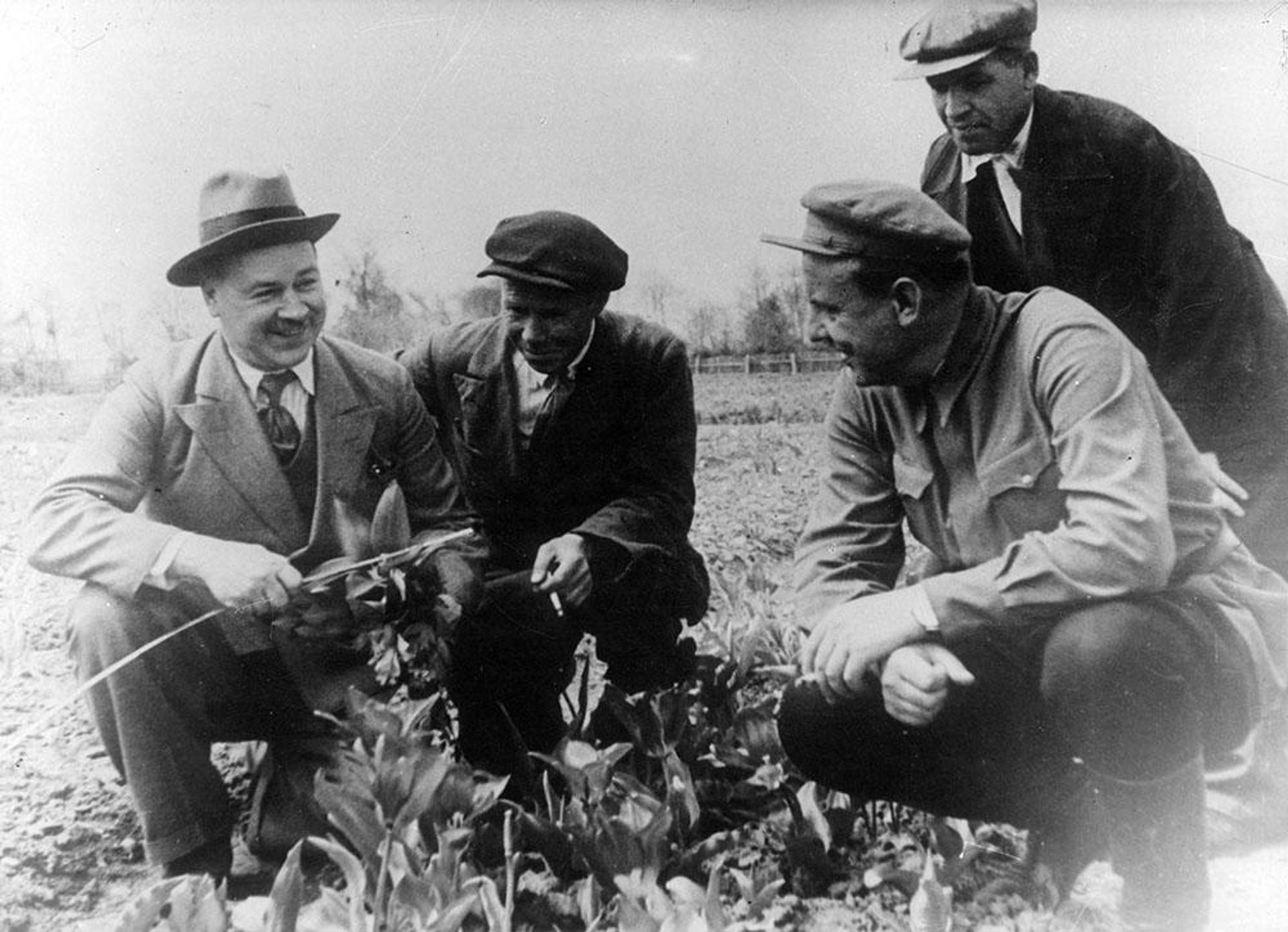 Николай Вавилов в совхозе Южная культура. Краснодарский край, Адлер, 1939 год. Николай Вавилов в совхозе Южная культура. Краснодарский край, Адлер, 1939 год. - РИА Новости, 1920, 04.08.2026