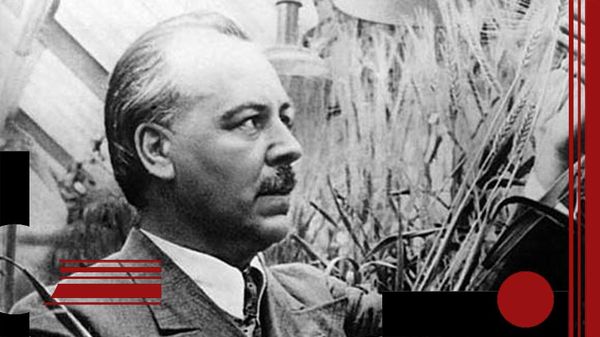 Николай Вавилов, 1939 год Николай Вавилов, 1939 год