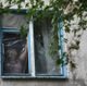 Женщина затягивает полиэтиленовой пленкой окно, разбитое в результате обстрелов ВСУ Донецка
