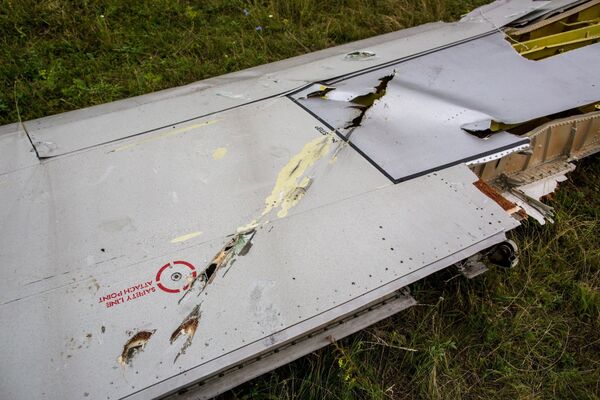 Возможные следы от осколков ракеты на крыле потерпевшего крушение малайзийского лайнера Boeing 777