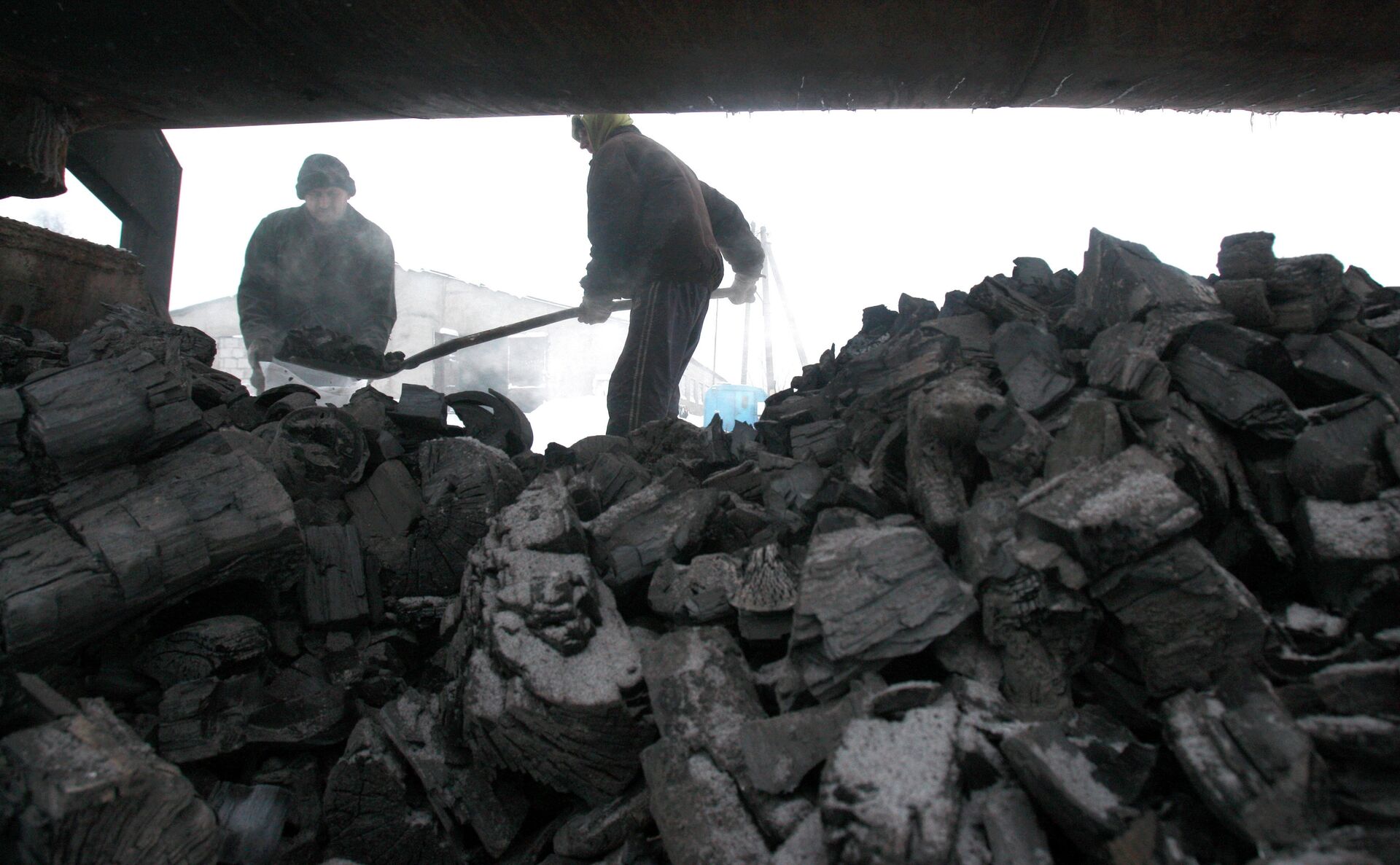 Производство древесного угля в деревне Круча Могилевской области - РИА Новости, 1920, 08.11.2021