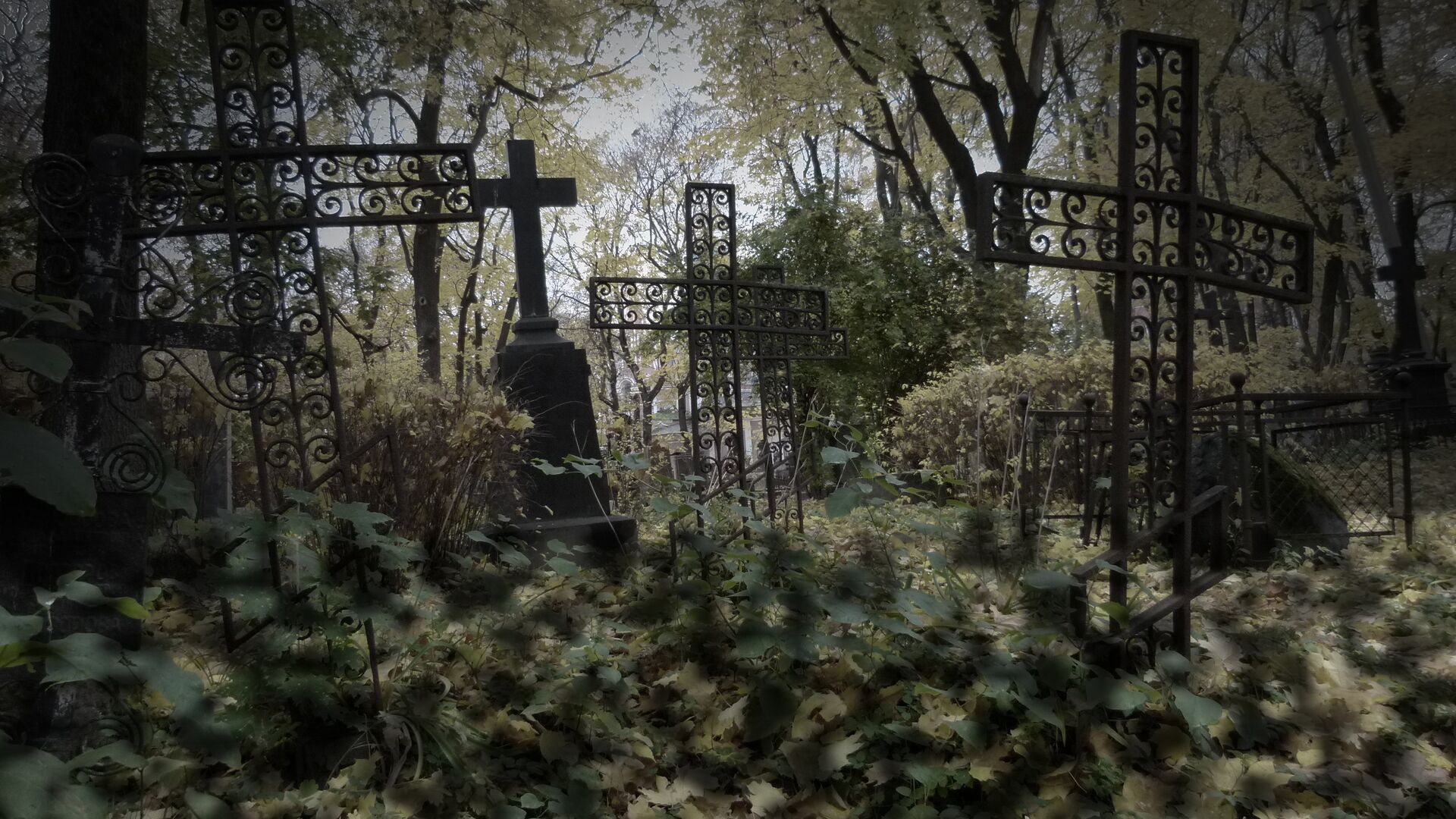 Кладбище Донского монастыря - РИА Новости, 1920, 24.08.2023