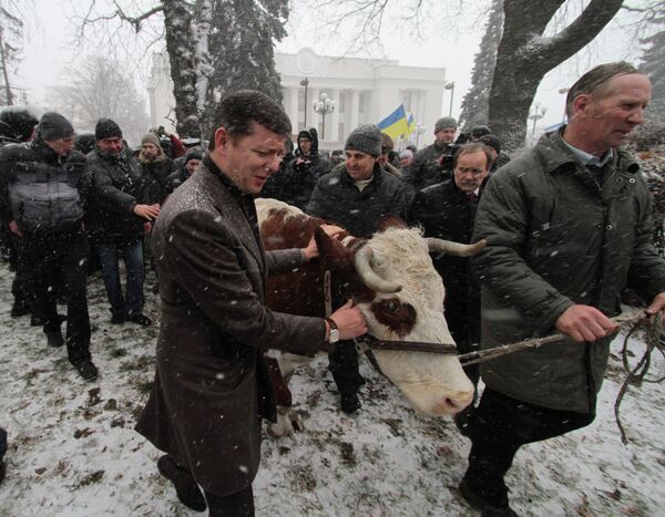 Украинские аграрии протестуют против принятия закона о рынке земли у здания Верховной Рады