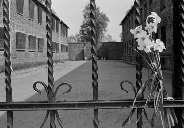 В Освенциме