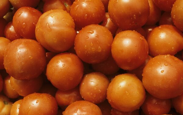 Помидоры Помидоры