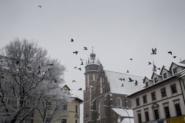 Города мира. Краков