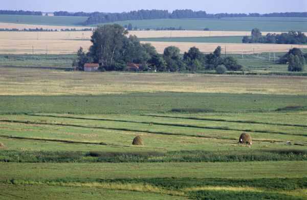 Под Полтавой