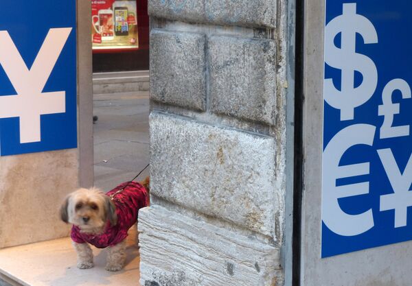 Города мира. Венеция