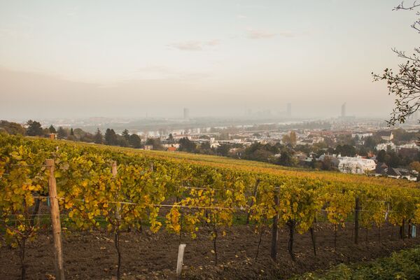 Города мира. Вена